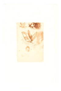 Redon - Croquis, 0182452