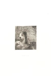 Redon - Hélène (Ennoia), 0485476