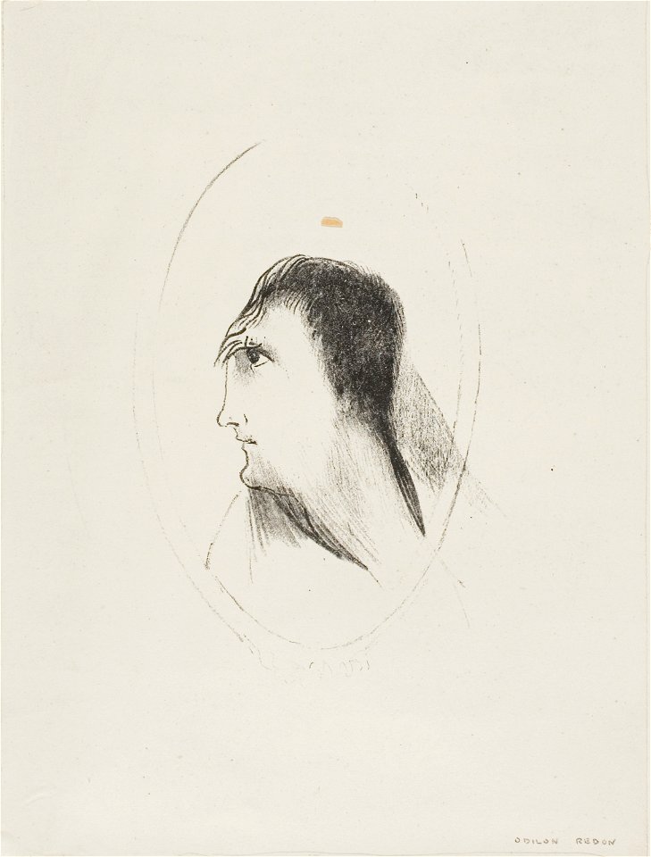Redon - The Width and Flatness of (the) Frontal (Bone), plate 6 of 6, 1920.1813
