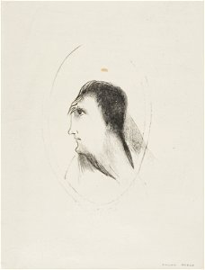 Redon - The Width and Flatness of (the) Frontal (Bone), plate 6 of 6, 1920.1813