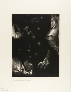 Redon - Different Peoples Inhabit the Countries of the Ocean, plate 23 of 24, 1920.1793