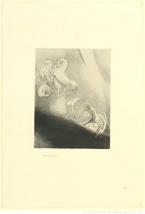 Redon - Il tombe dans l'abîme, la tête en bas, btv1b69511249