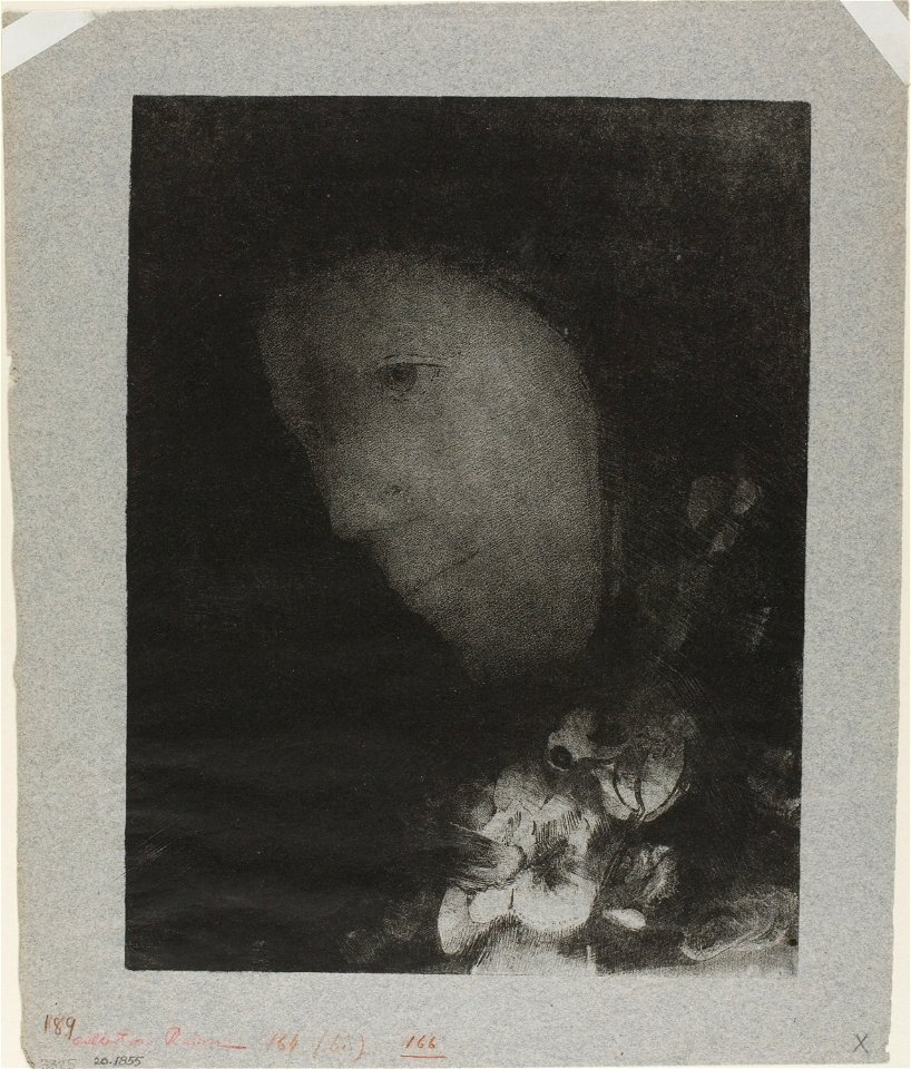 Redon - Head of Woman With Corsage of Flowers, 1920.1855