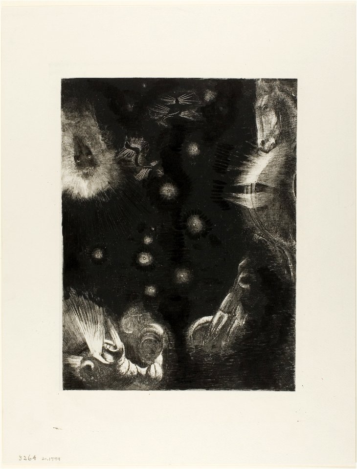 Redon - Different Peoples Inhabit the Countries of the Ocean, plate 23 of 24, 1920.1794