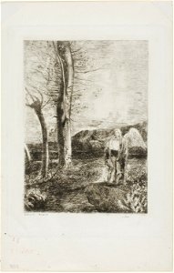 Redon - Tobias, 1920.1531