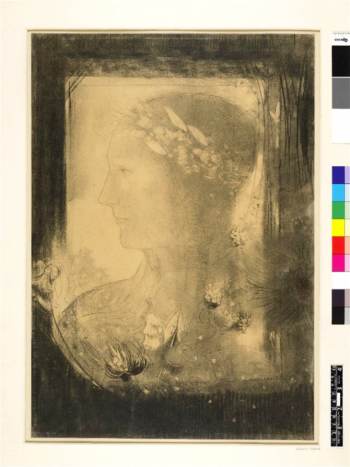 Redon - Head of a woman in profile, 1949,0411.78
