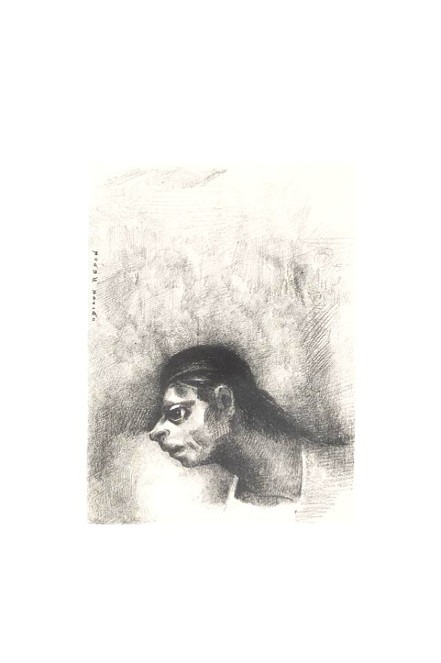 Redon - Un homme du peuple, un sauvage, 0600313