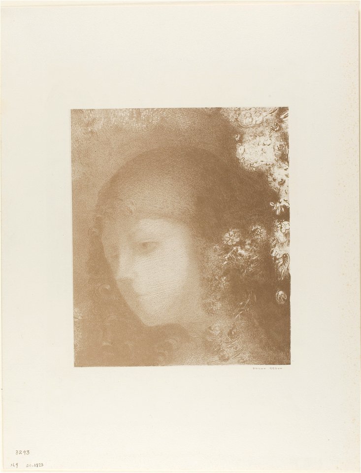 Redon - Child’s Head With Flowers, 1920.1823