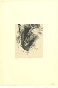 Redon - Le coursier, btv1b6951099p