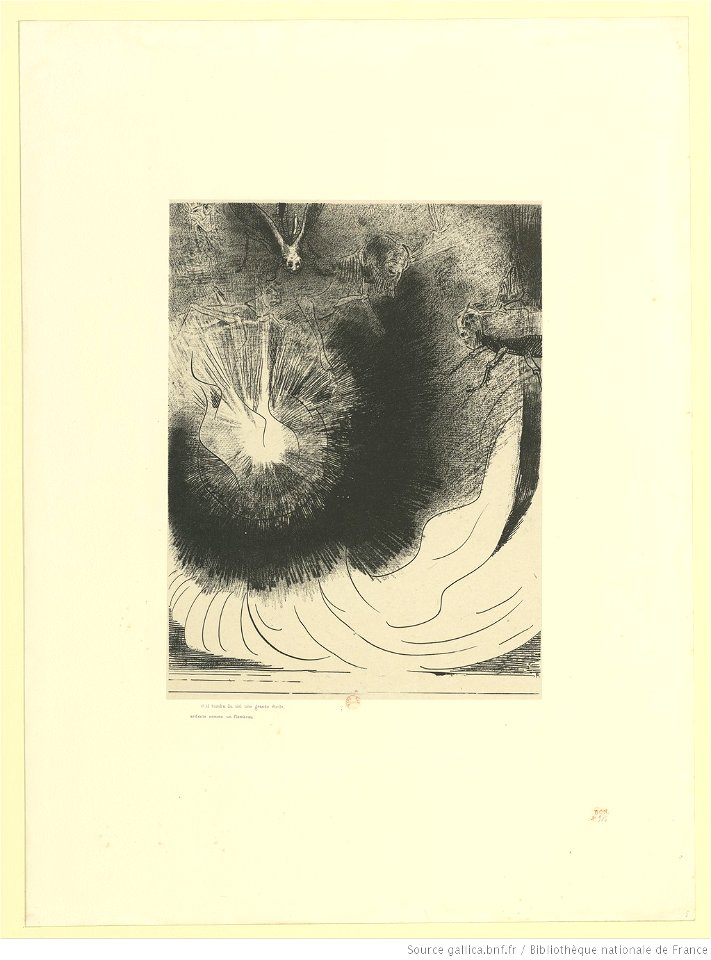 Redon - et il tombe du ciel une grande étoile ardente, btv1b6951163d
