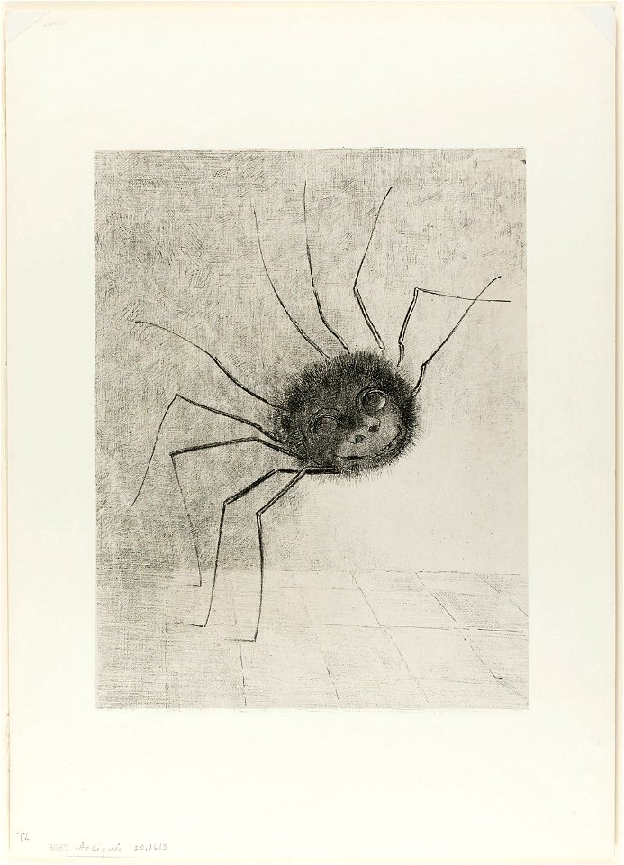 Redon - Spider, 1920.1613