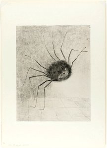 Redon - Spider, 1920.1613
