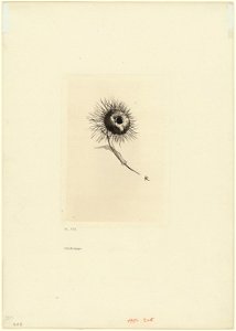 Redon - Tailpiece, plate 9 of 9, 1920.1885