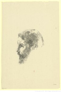 Redon - Pierre Bonnard, btv1b6951175m