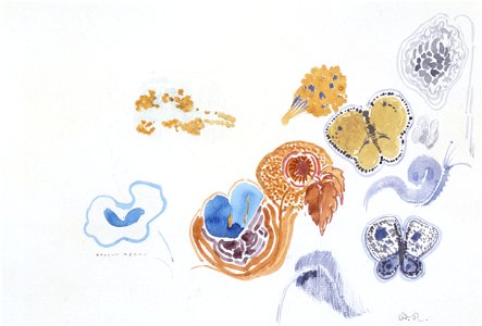 Redon - Papillons et fleurs, Entre 1910 et 1914