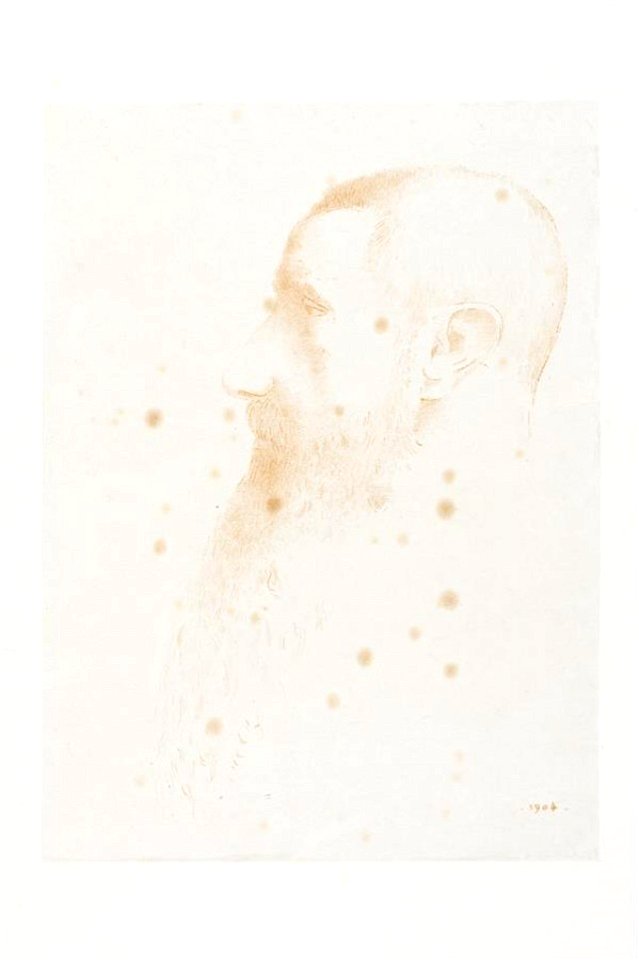 Redon - Portrait of the art critic Roger Marx, 0600845