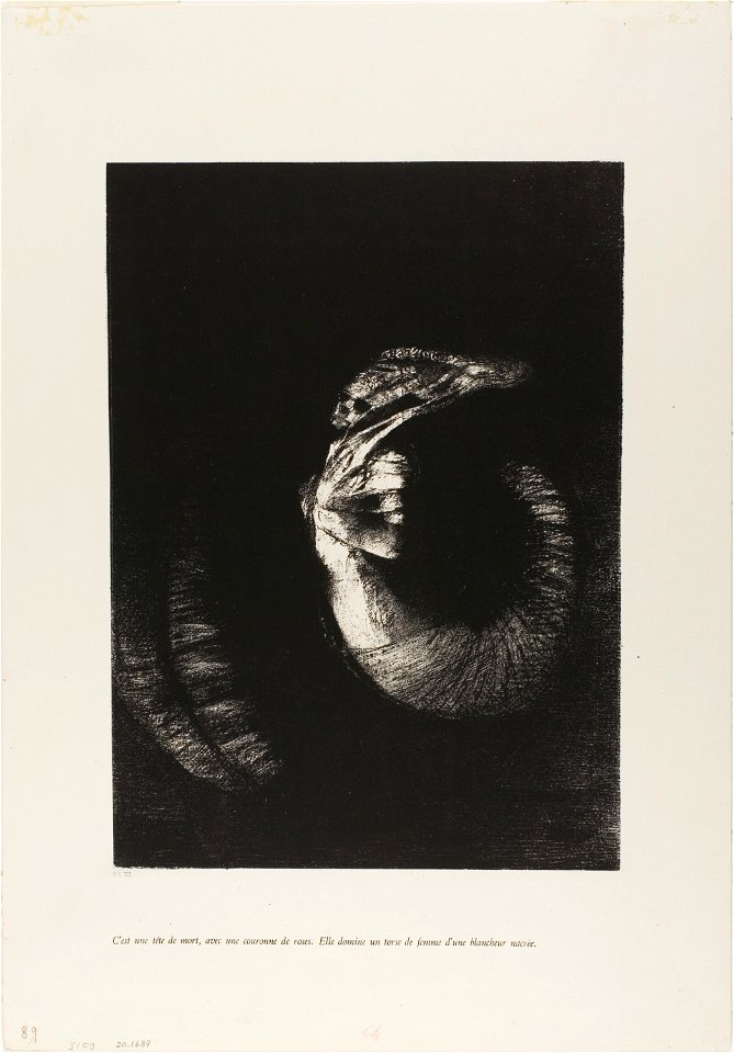 Redon - It is a Skull Wreathed in Roses…, 1920.1639