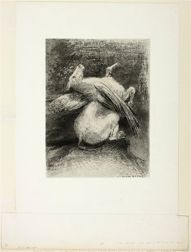 Redon - The Impotent Wing Did Not Lift the Animal Into That Black Space, plate 7 of 8 from Les Origines, 1920.1584