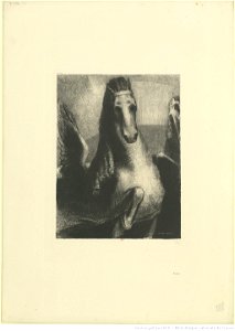 Redon - L'aile, btv1b69510899