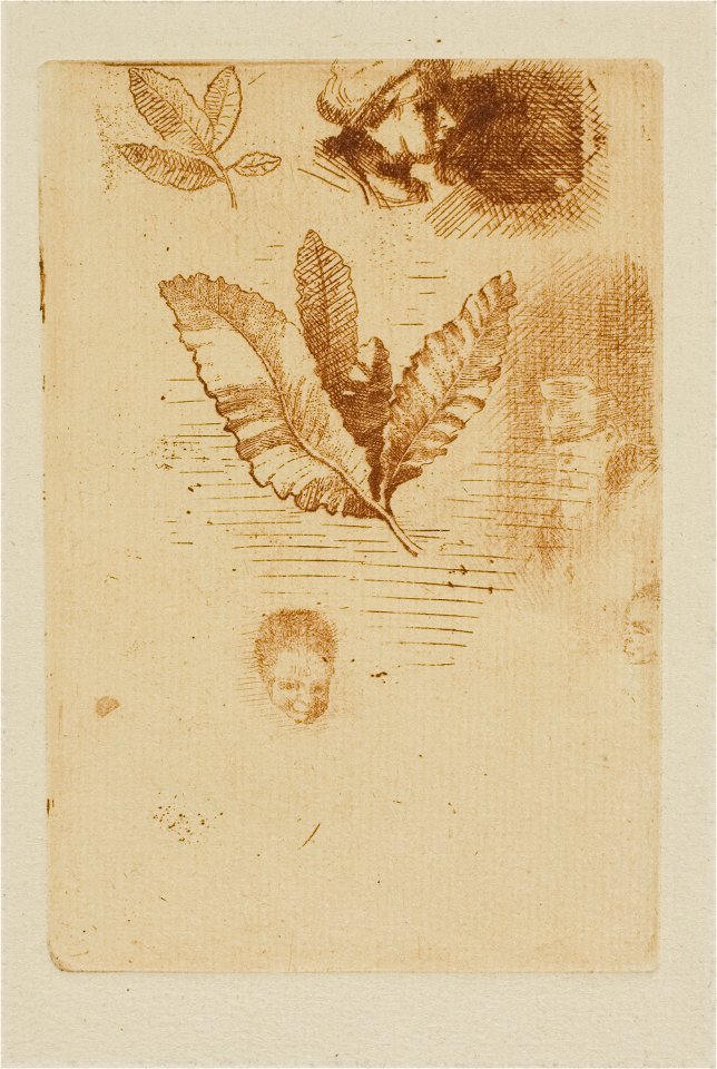 Redon - Sketches, c. 1880