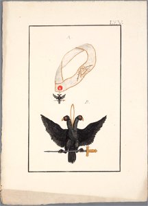 Regalia Vrijmetselarij, Rit Ecossais, Planche LXV, objectnr A 16175