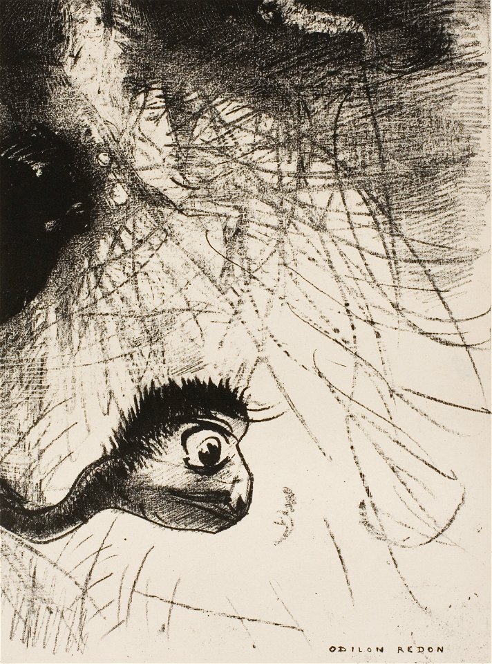 Redon - St. Anthony Somewhere There Must Be Primordial Shapes Whose Bodies Are Only Images, plate 4 of 6, 1920.1652
