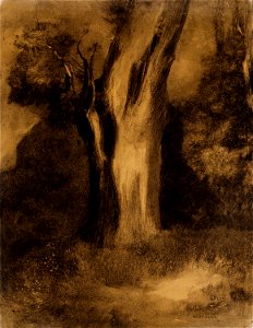 Redon - Tree, c. 1875. Free illustration for personal and commercial use.