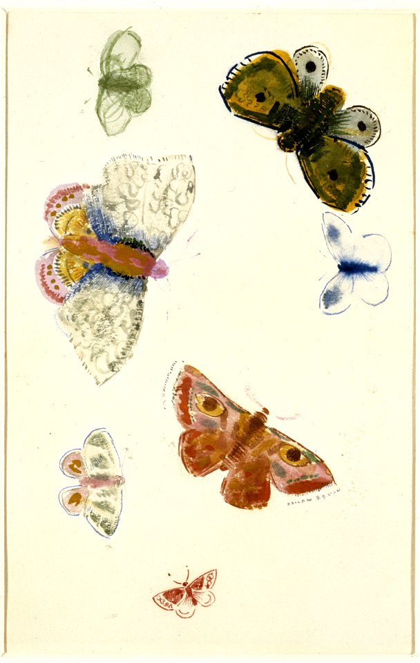 Redon - Sept études de papillons, Entre 1910 et 1914