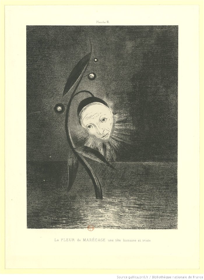 Redon - LA FLEUR DE MARECAGE, une tête humaine et triste, btv1b69510098