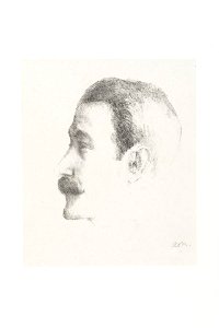 Redon - Portrait of the pianist Ricardo Vinès, 0600850