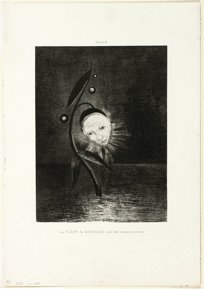 Redon - The Marsh Flower, a Sad Human Head, plate 2 of 6, 1920.1588