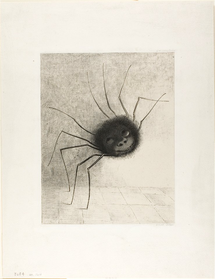 Redon - Spider, 1920.1614