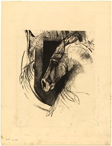 Redon - The Charger, 1920.1638