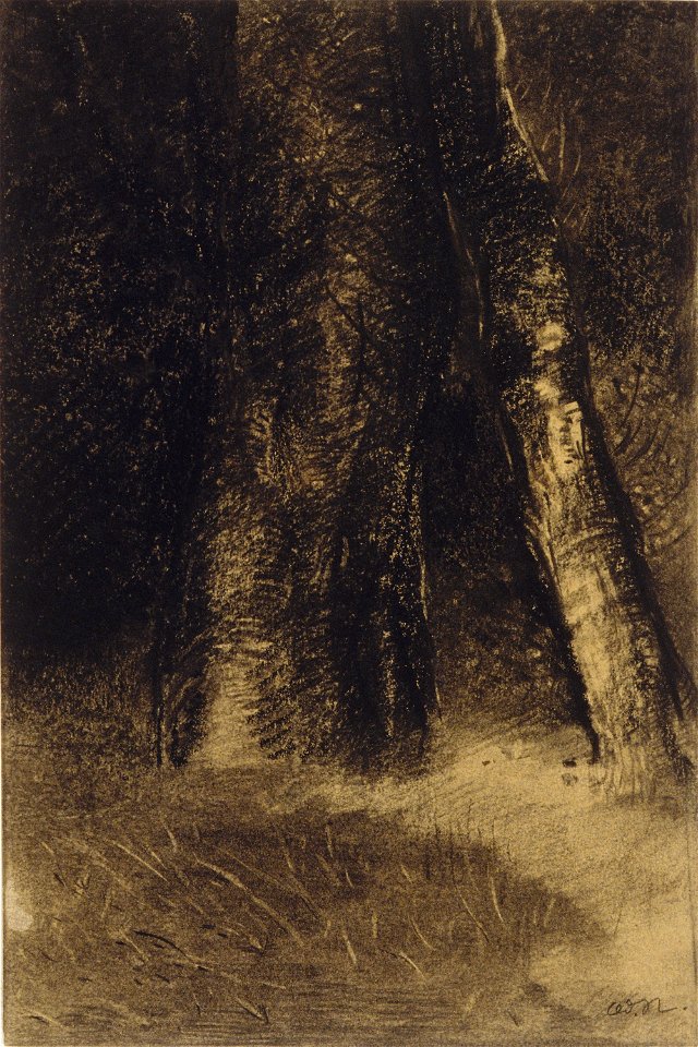 Redon - Sketch of Trees, 1890-99