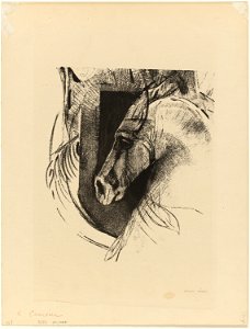 Redon - The Charger, 1920.1723