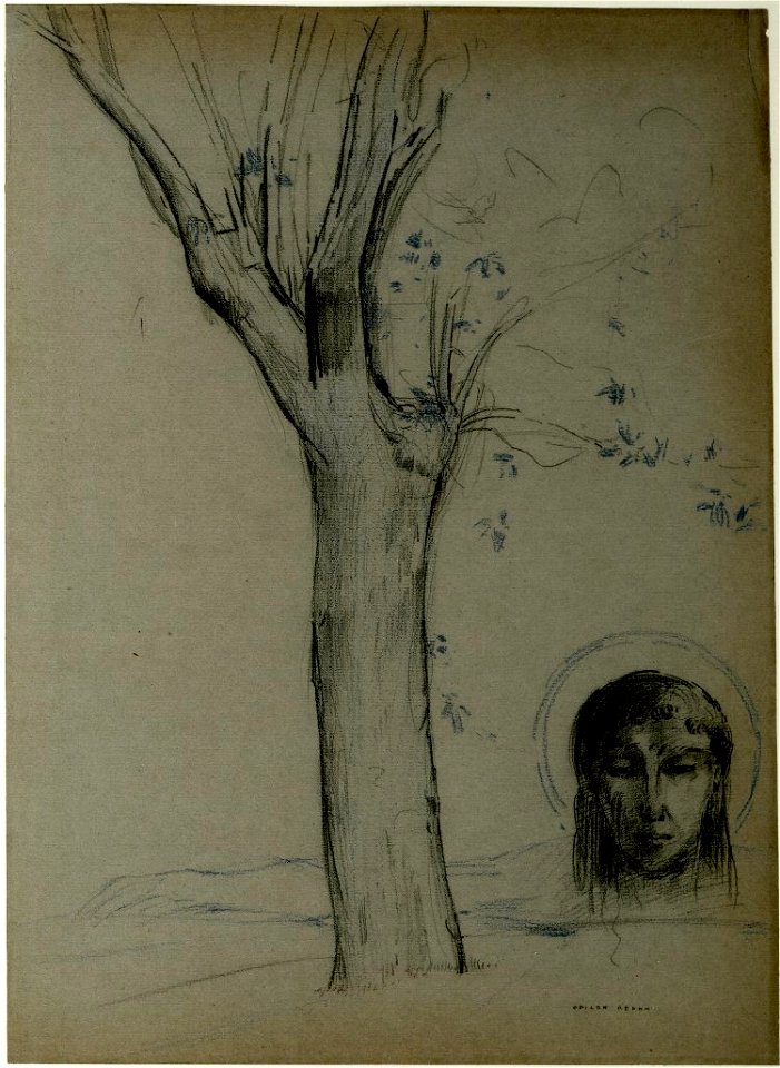 Redon - Study of a tree and head of Christ, 1921,1115.9