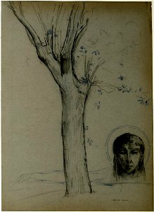 Redon - Study of a tree and head of Christ, 1921,1115.9