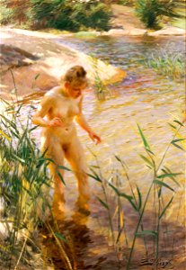 Reflexer by Anders Zorn 01
