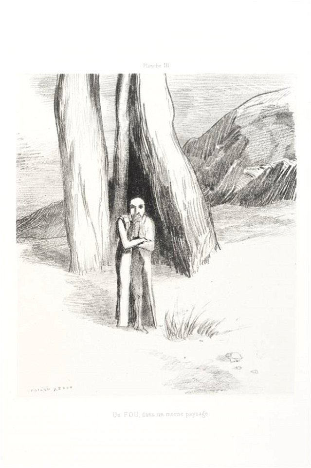 Redon - Un Fou dans un morne paysage, 0600809