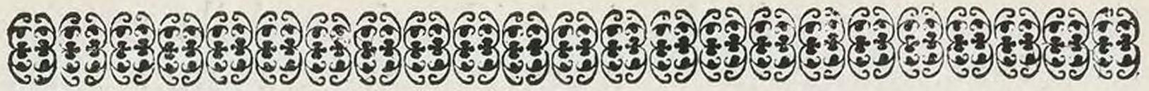 Regole della Giurisdizione e Communità di Segonzano, 1609 (page 45 crop)