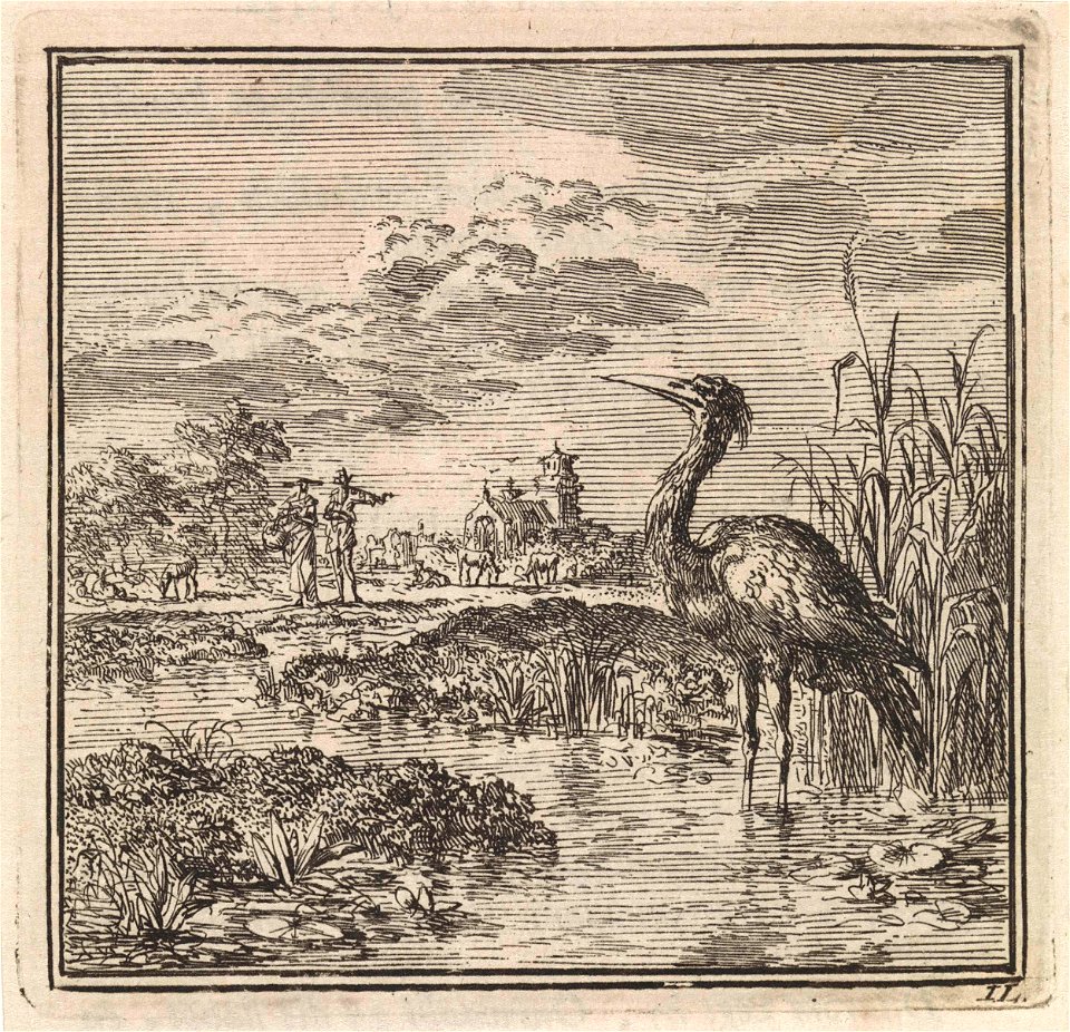Reiger in een vijver