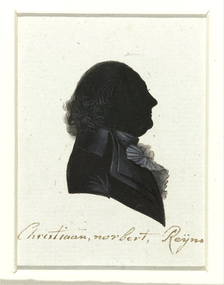 Reijns, C.N.