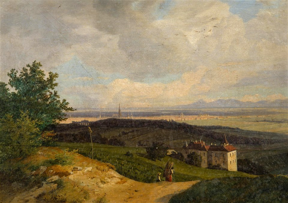 Reinhold-View of Vienna