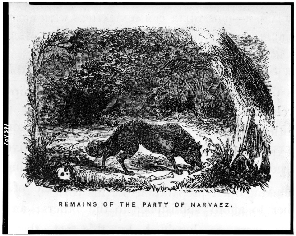 Remains of the party of Narvaez - J.W. Orr, N.Y. LCCN91789831