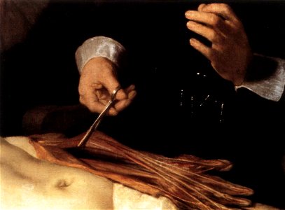 Rembrandt - The Anatomy Lecture of Dr. Nicolaes Tulp (detail) - WGA19140