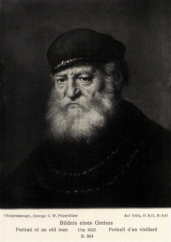 Rembrandt - Bearded Man in a Cap