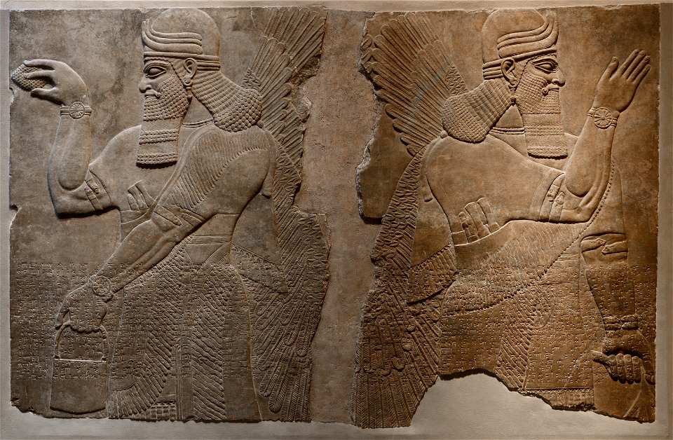 Reliefs from The palace of Ashurnasirpal II - MET
