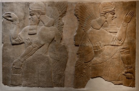 Reliefs from The palace of Ashurnasirpal II - MET