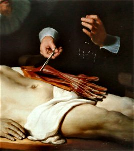 Rembrandt - La Leçon d'anatomie