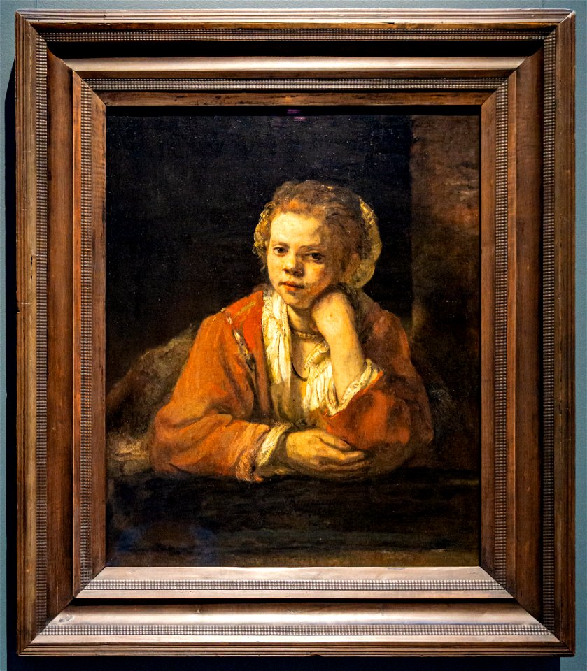 Rembrandt - Girl at the Window DSC6892